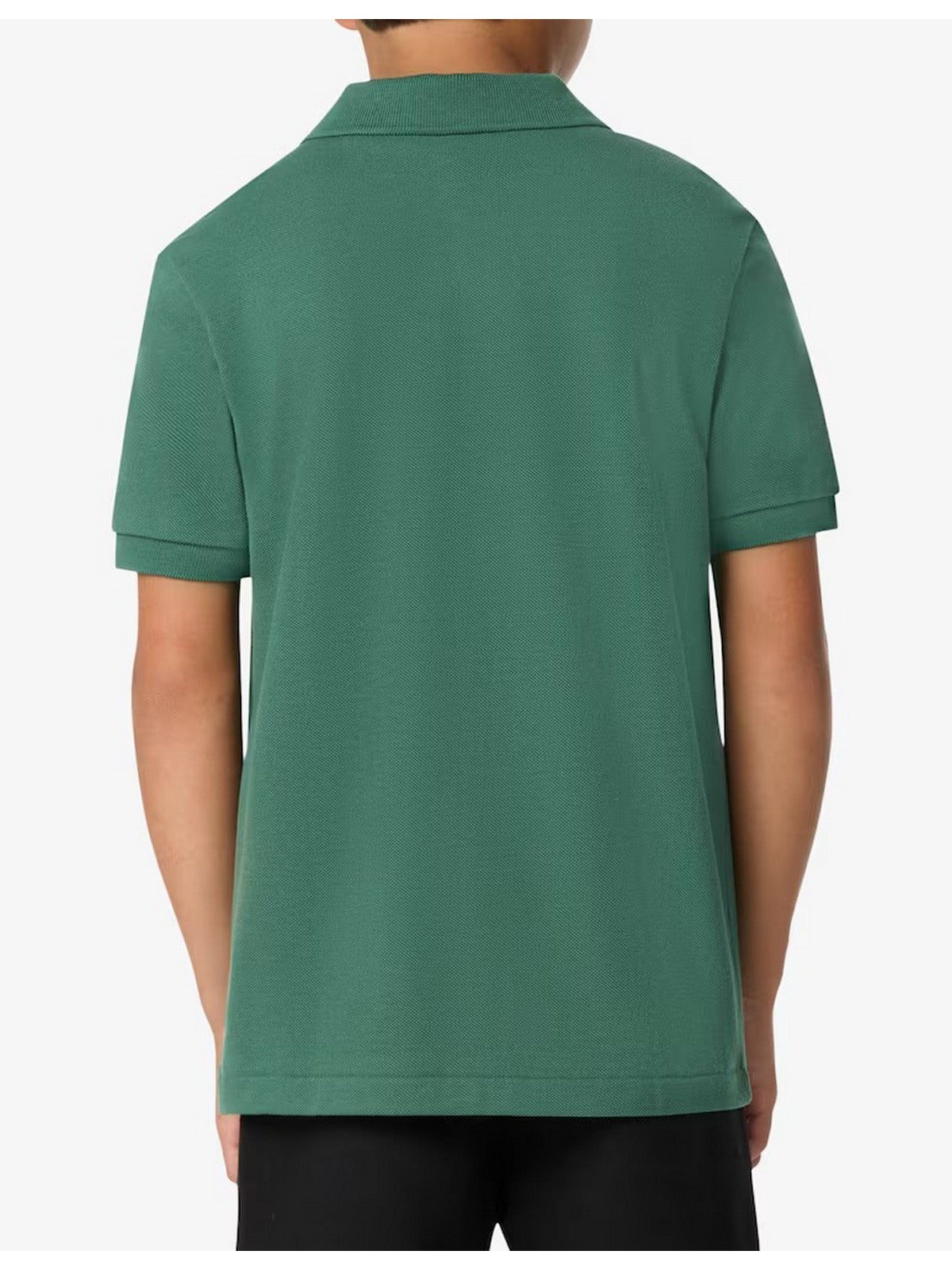 LACOSTE KIDS Polo Unisex bambino LCB NON-ORGANIC PETIT PIQUE PO 847354 F9W Verde