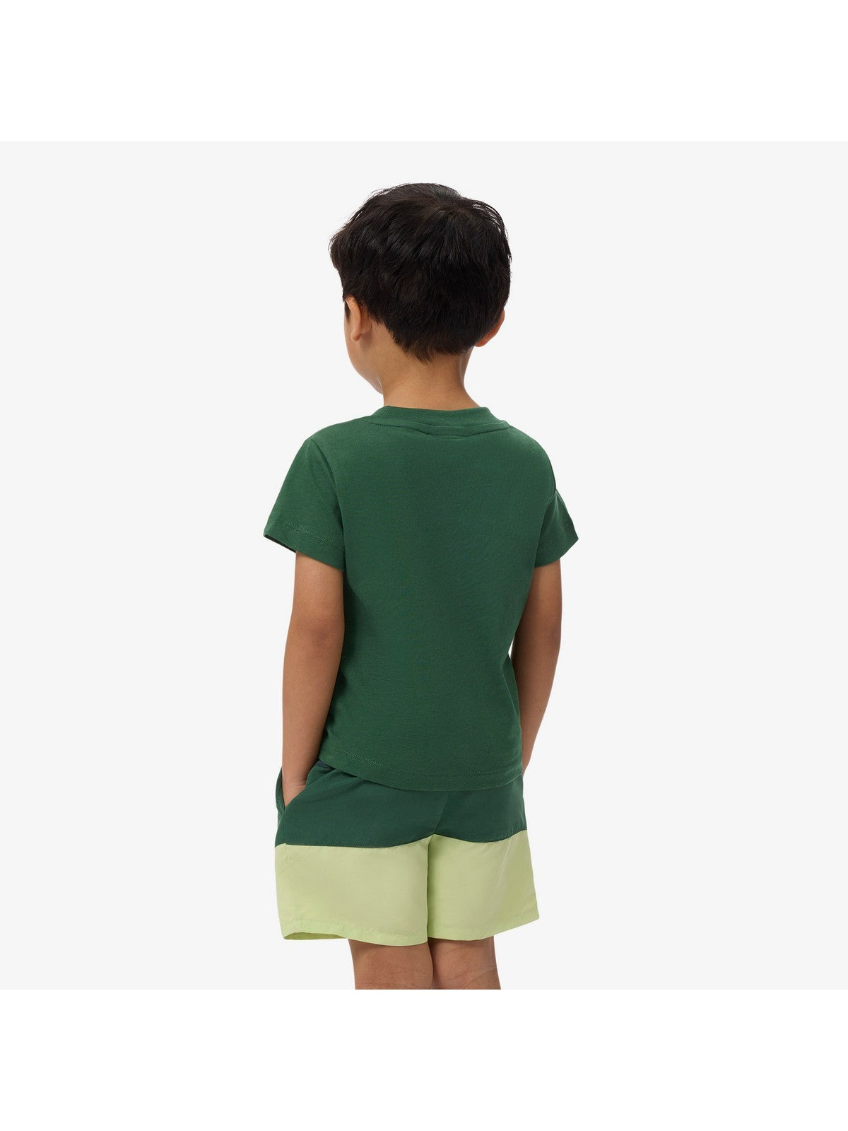 LACOSTE KIDS T-shirt Unisex bambino LCB CORE TEE 847025 F9W Verde