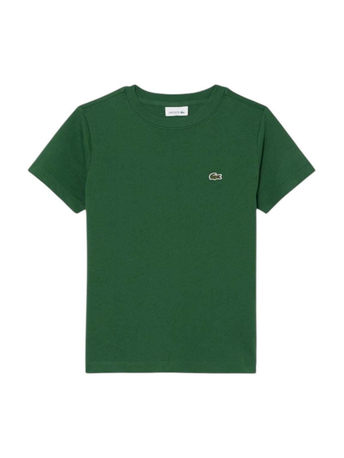 LACOSTE KIDS T-shirt Unisex bambino LCB CORE TEE 947025 F9W Verde