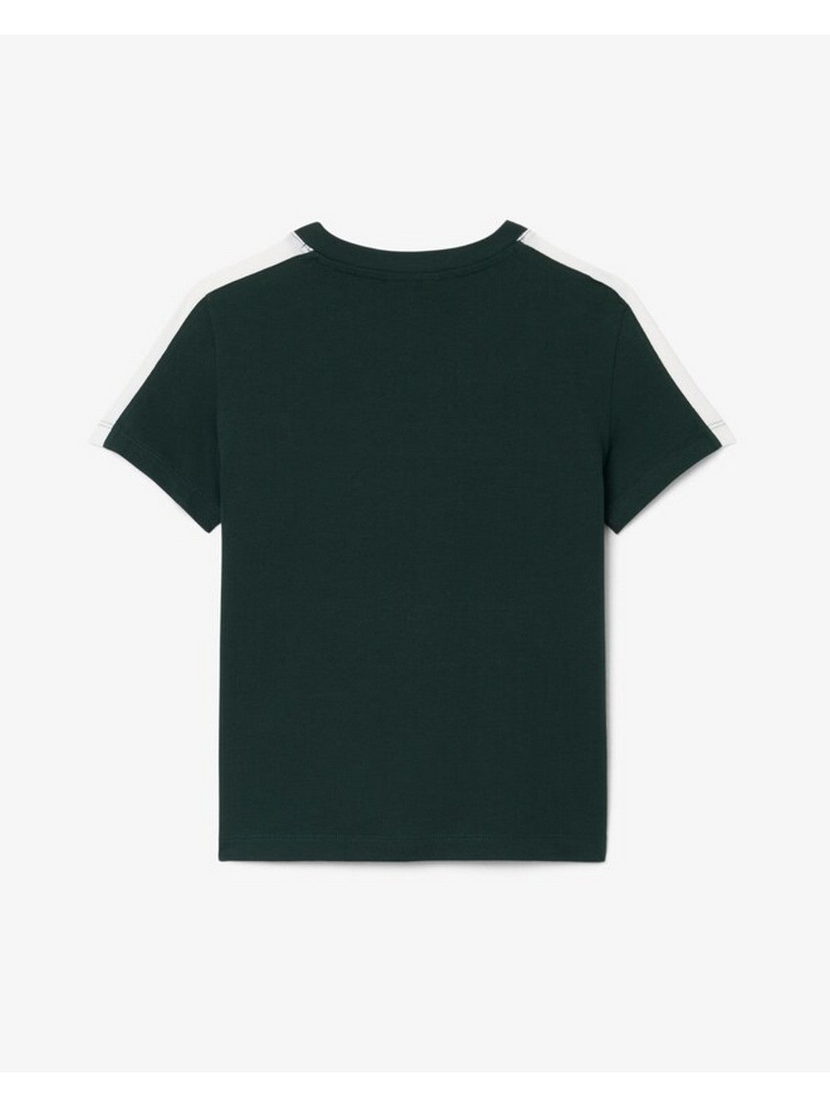 LACOSTE KIDS T-shirt Bambini e ragazzi LCB COLORBLOCK STRIPE TEE Verde - 947774 YZP gioboutiqueweb