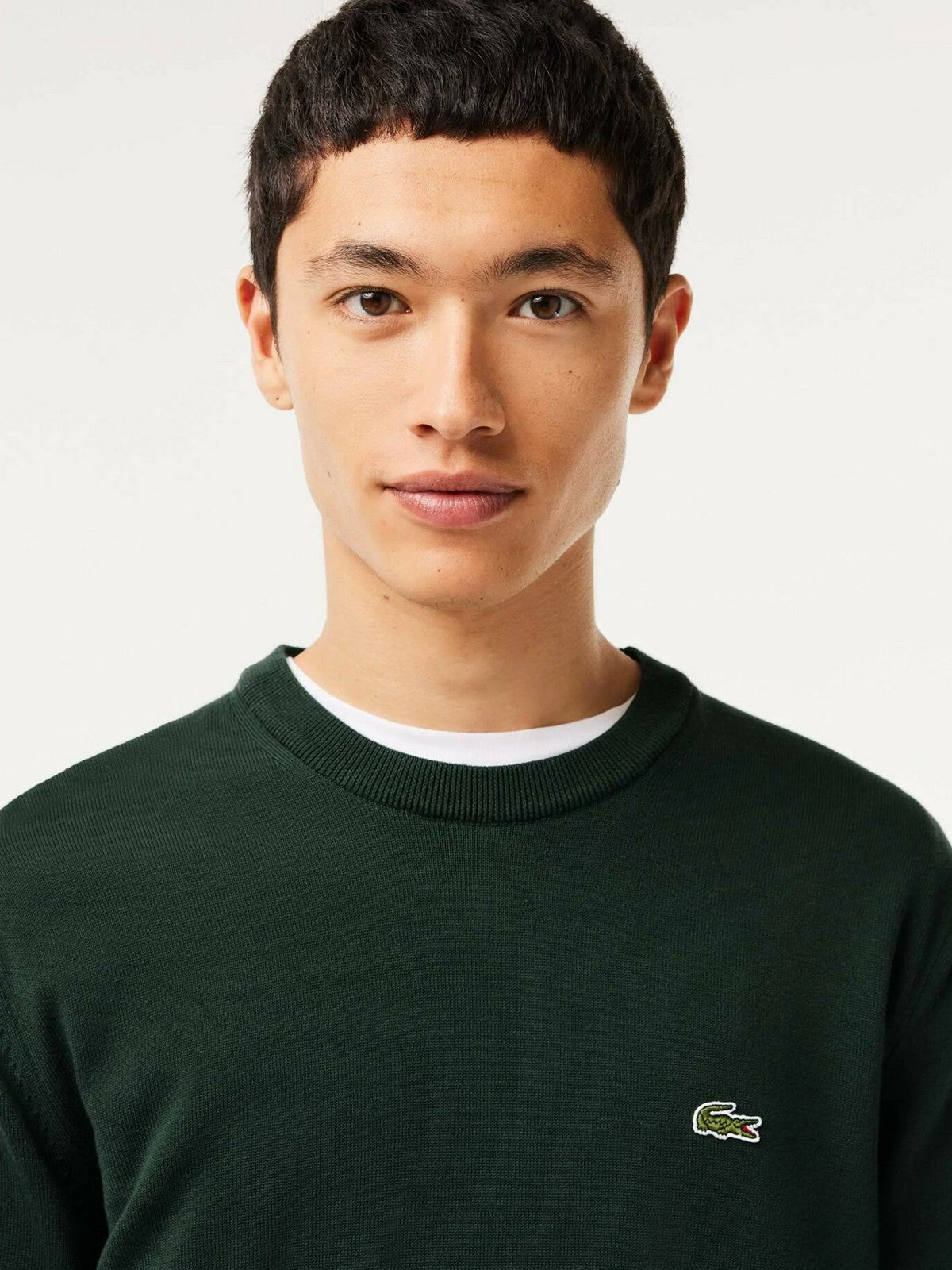 LACOSTE Maglione Uomo AH3225 YZP Verde gioboutiqueweb