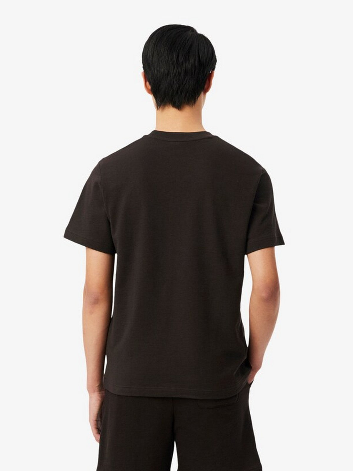LACOSTE T-shirt Uomo TH1979 3LA Marrone gioboutiqueweb