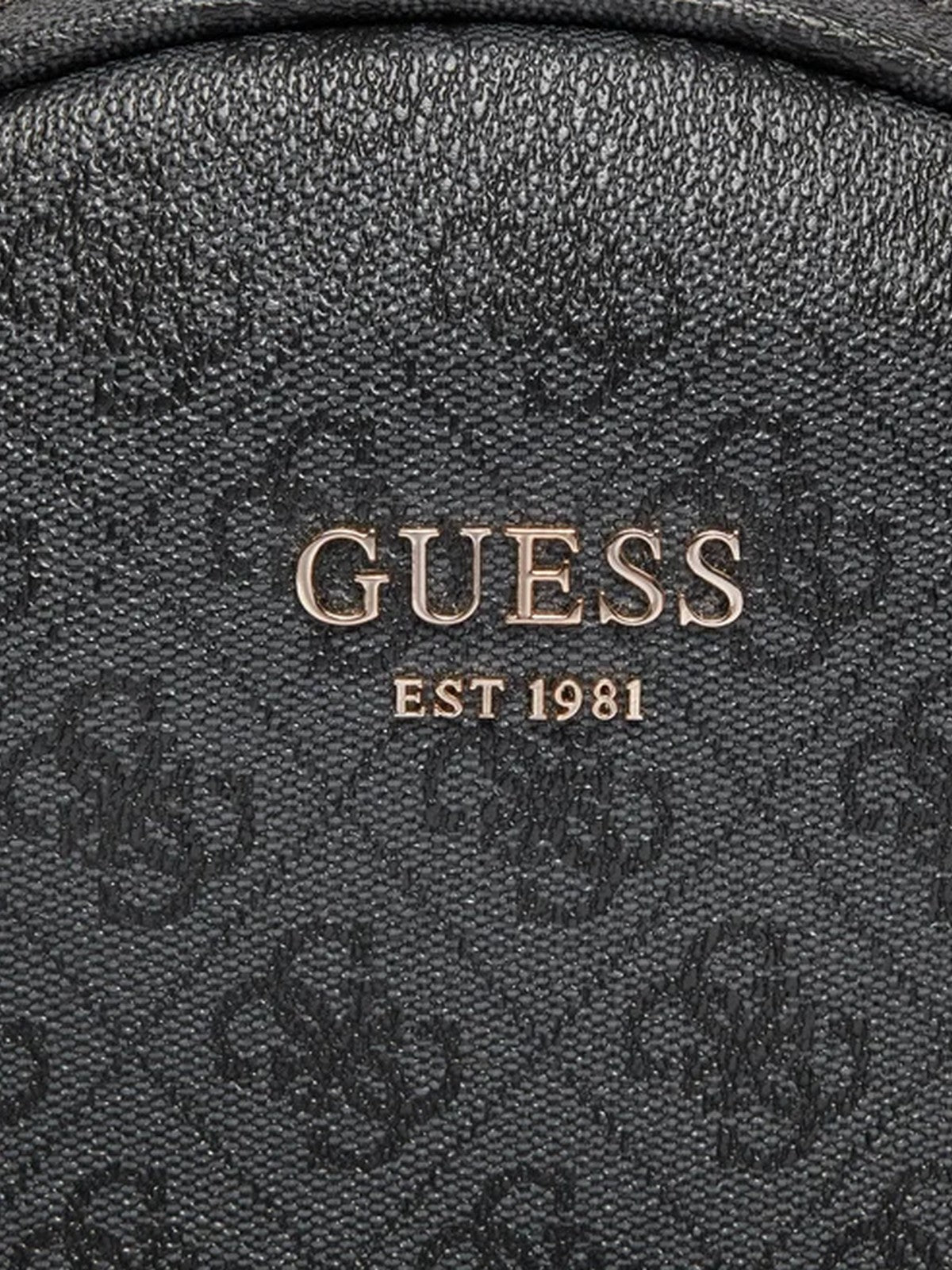 Guess Woman Handbag Hwsg69 95320 CoA Gray
