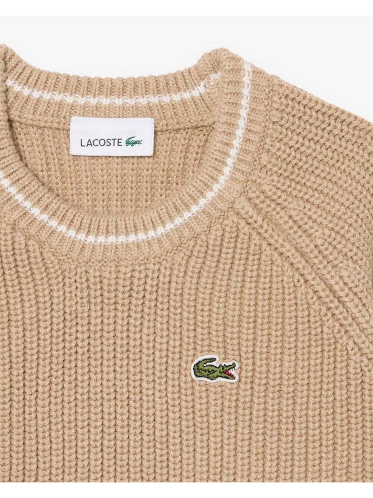 LACOSTE KIDS Maglione Bambini e ragazzi LCB CHUNKY KNIT CORE SWEATER Beige - 847695 02S gioboutiqueweb