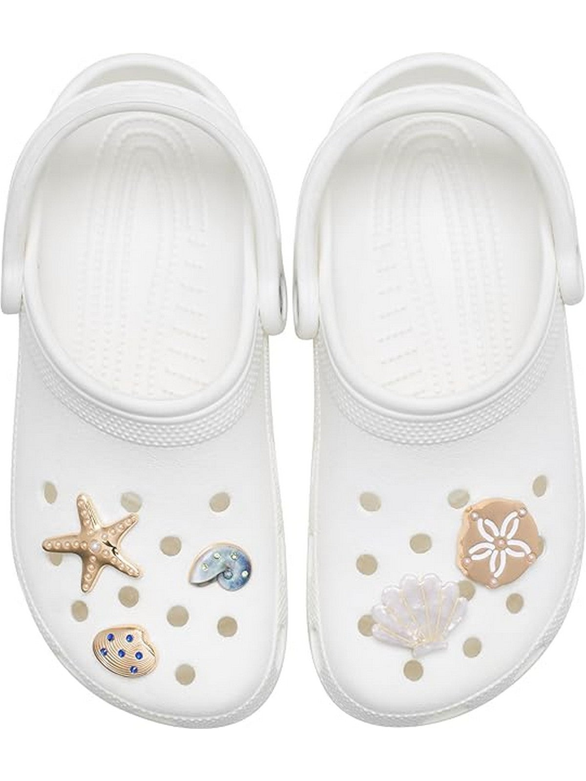 Crocs JIBBITZ Unisex adulto Gold Seashell 5 Pack - CR.6041 JIB UCOL gioboutiqueweb