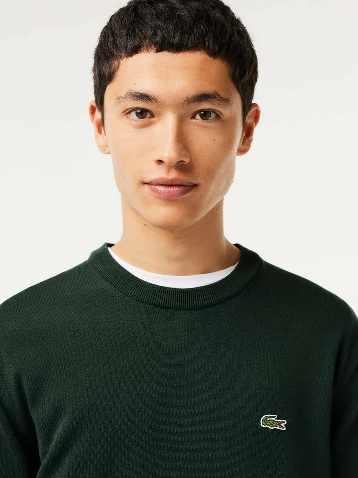 LACOSTE Maglione Uomo AH3225 YZP Verde gioboutiqueweb