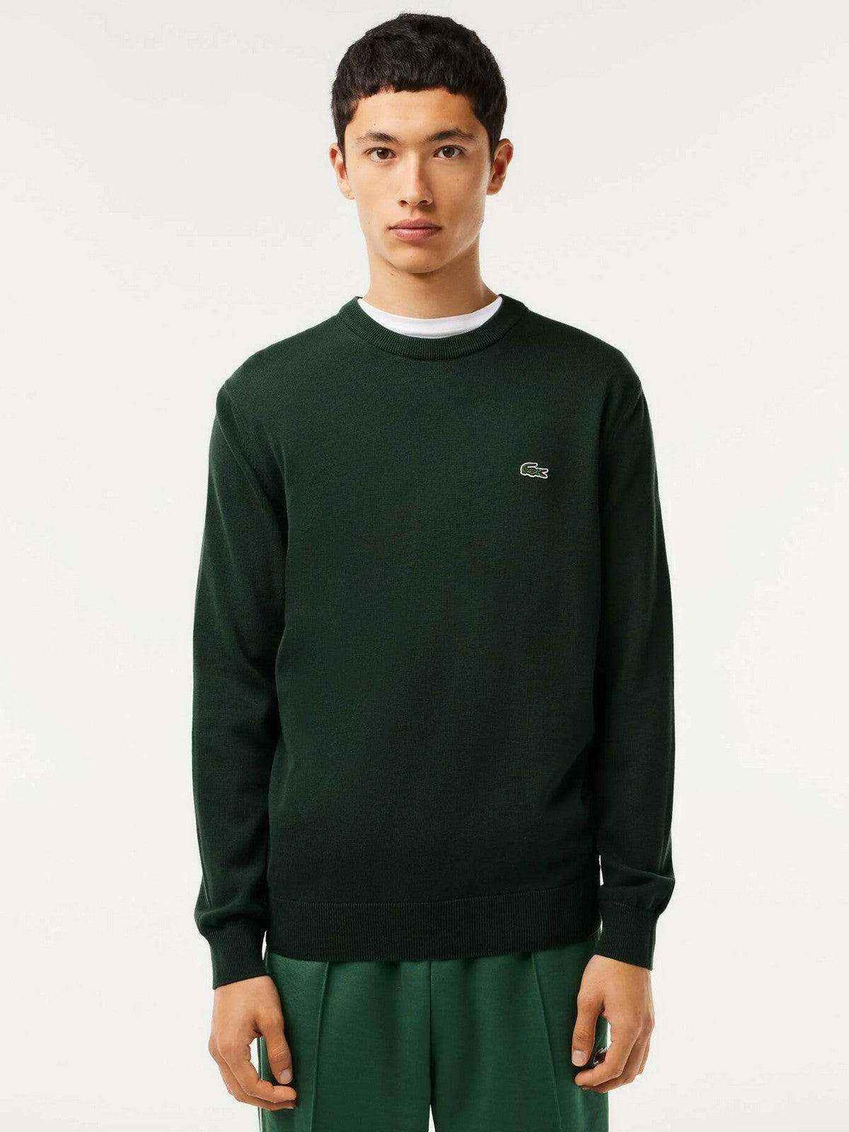 LACOSTE Maglione Uomo AH3225 YZP Verde gioboutiqueweb