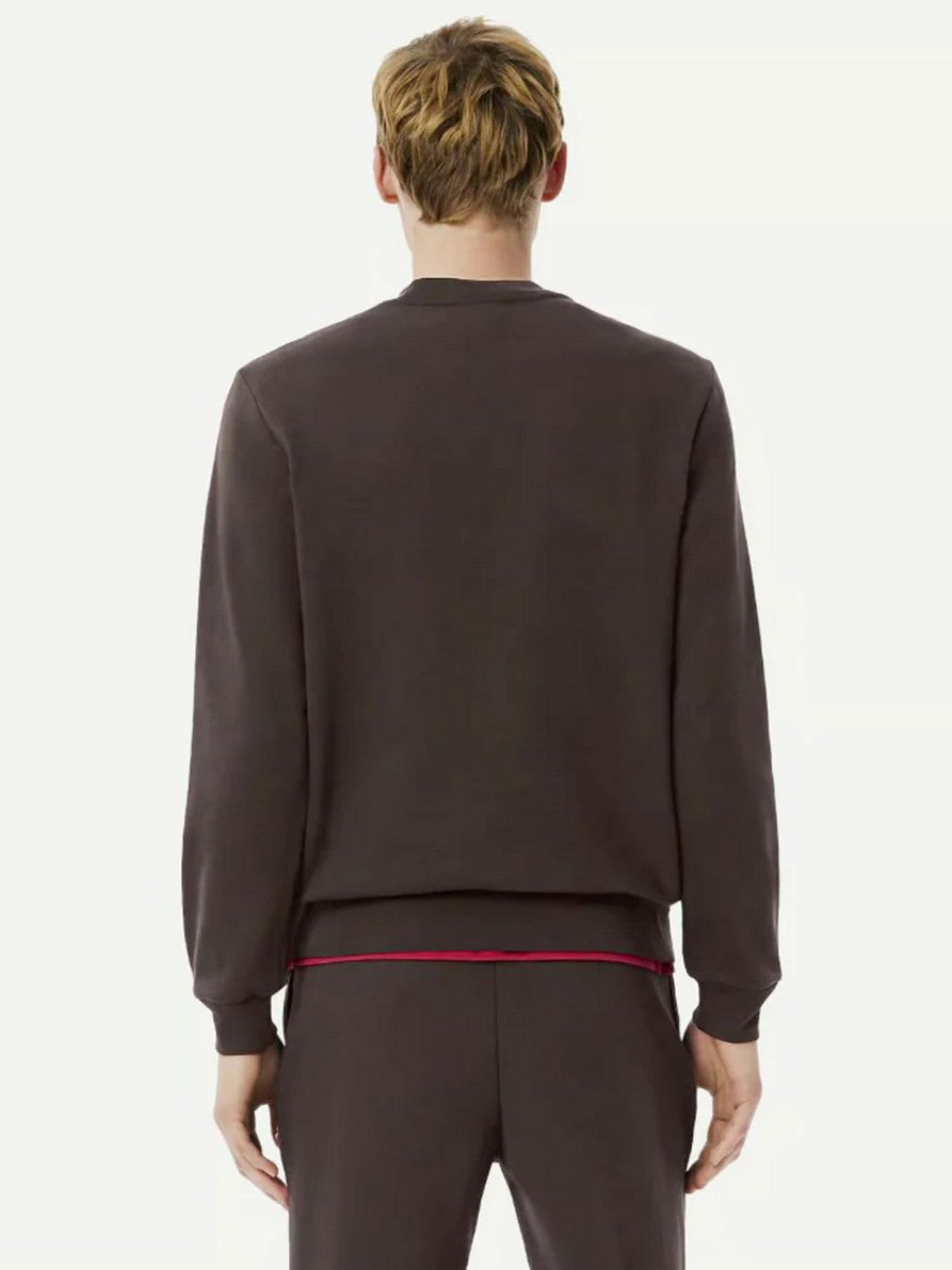 LACOSTE Maglione Uomo AH3225 SKB Marrone gioboutiqueweb