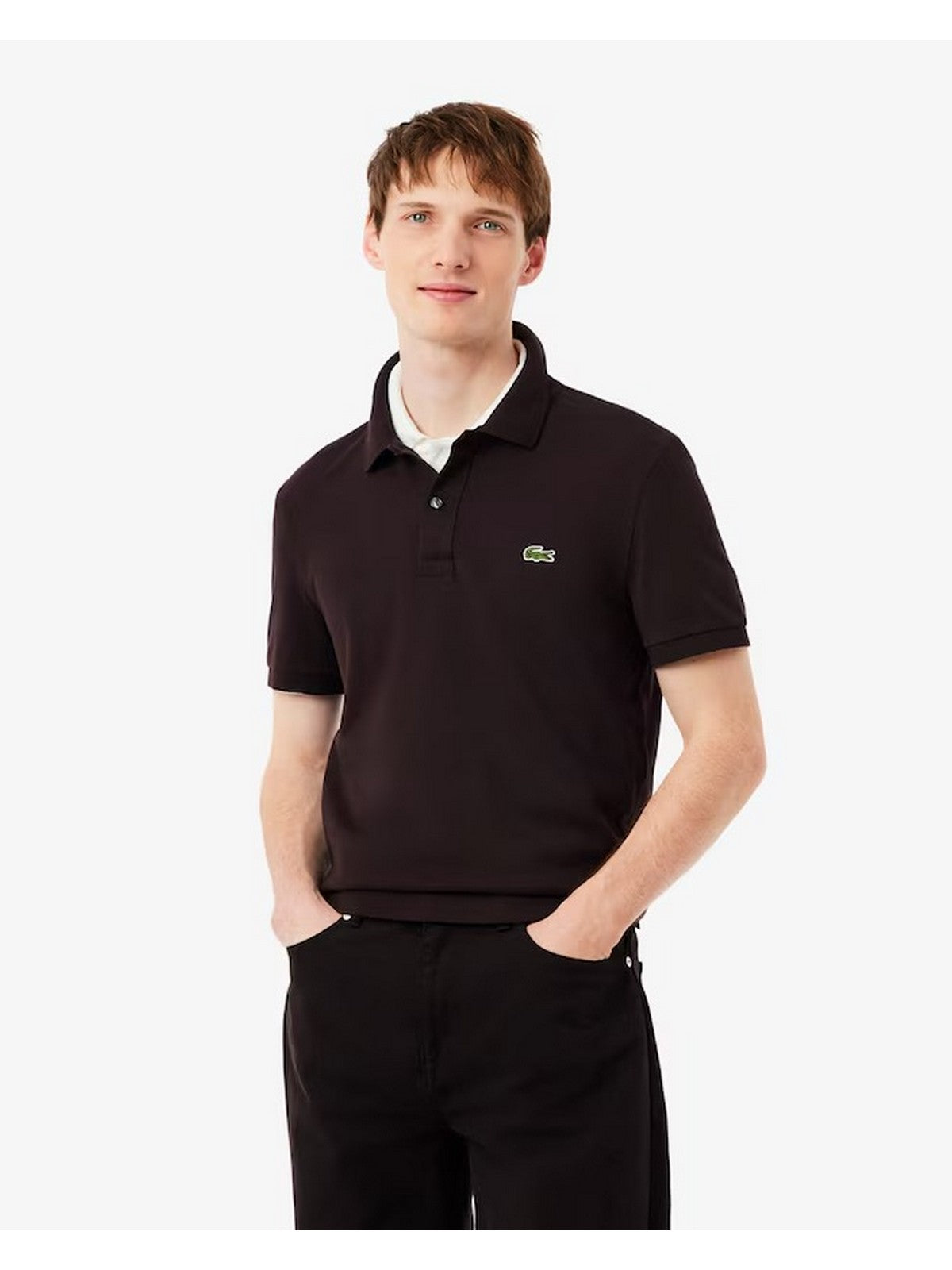 LACOSTE Polo Uomo PH4012 3LA Marrone gioboutiqueweb