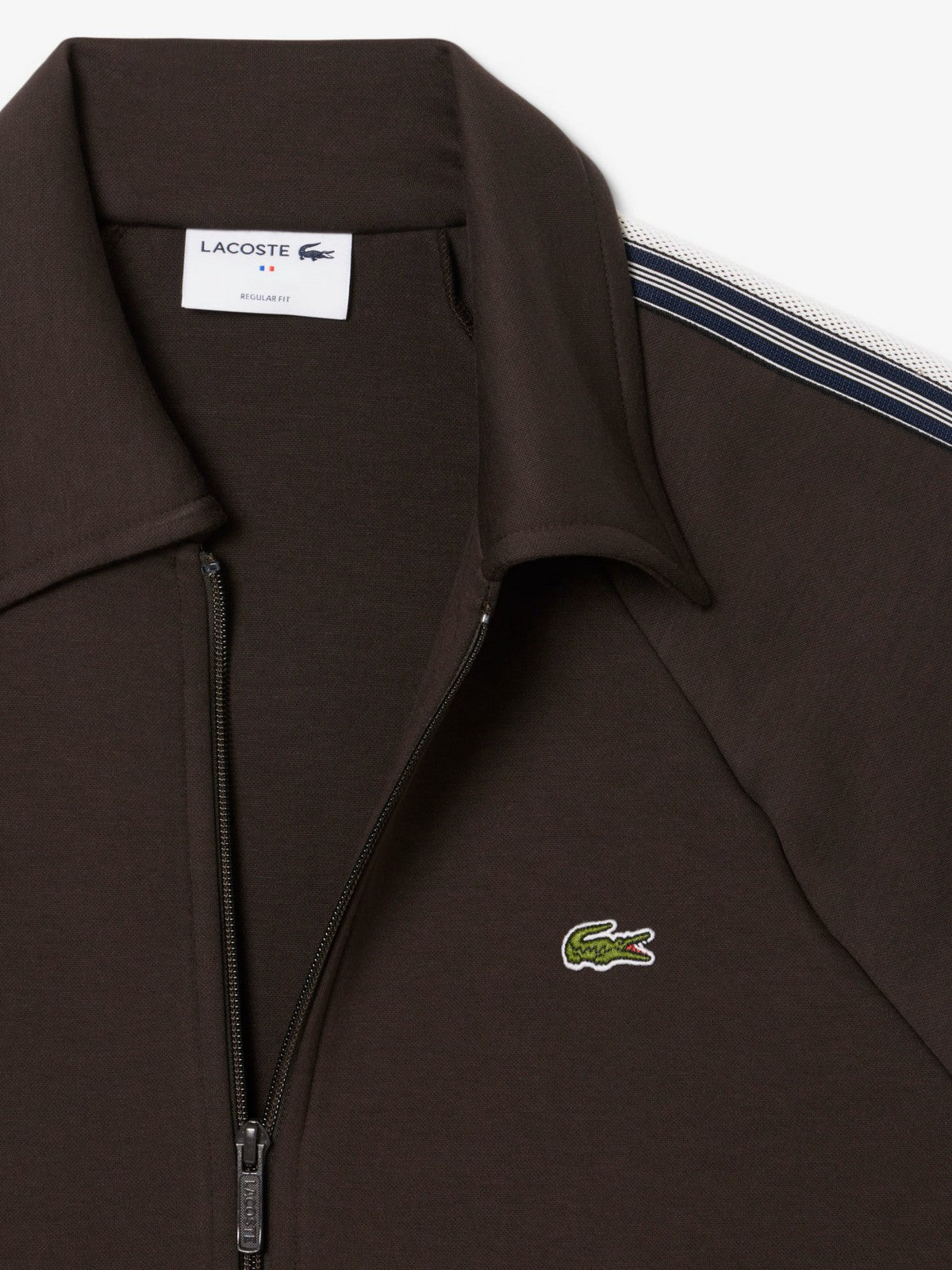 LACOSTE Felpa Uomo SH5927 SKB Marrone gioboutiqueweb