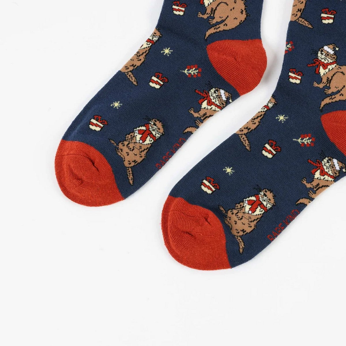 BARE KIND Calzini Unisex adulto  OTTERS BLU/ARANCIO